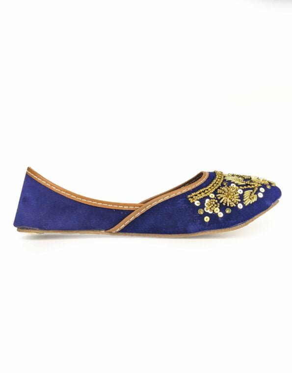 Blue Embroidered Shoes